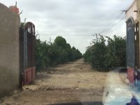 مزارع  برتقال بالكيلو 107 طريق مصر اسكندريه الصحراوي للبيع