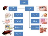 مطلـوب استشاريات غدد صماء لمستشفى بالطائف بالسعودية