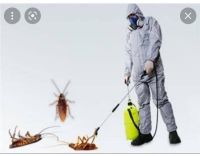 شركة رش حشرات بدون ريحة في مدينة نصر 