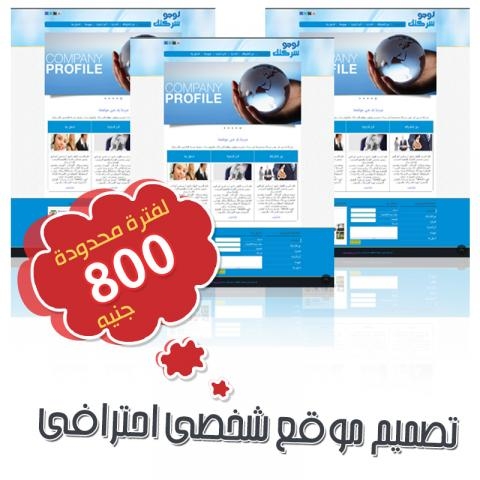 موقع الكتروني فقط ب 800 جنية