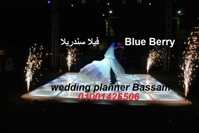 فيلا و قاعة افراح Blue Berry