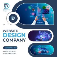 Web Design Professional Designer Company 