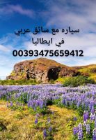 سائق عربي في روما 00393475659412  ايطاليا ساءق عربي في روما