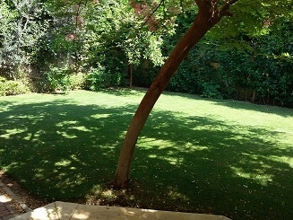 توين هاوس بحديقة فى جرينز الشيخ زايد للايجار