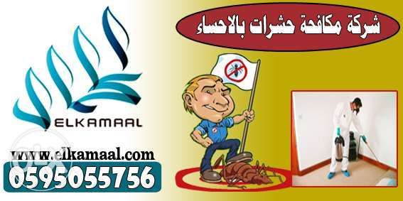 شركة مكافحة حشرات بالاحساء الكمال المثالى 595055756 