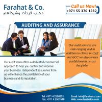 Need Audit &amp; Assurance Service?