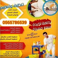 المركز الأوروبي لمكافحه الحشرات والتنظيف 0565786539 