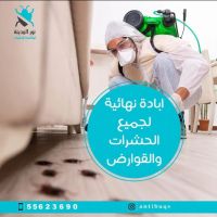 مكافحة حشرات الفروانية 60083891