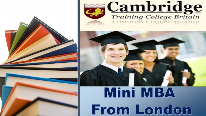 دبلومة إداة الأعمال الإسكندرية - Mini MBA Diploma