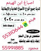 اصباغ انوار الكويت 55310644