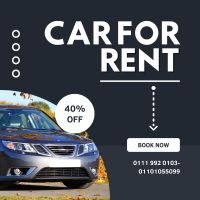 Cairo taxi limousine car rental