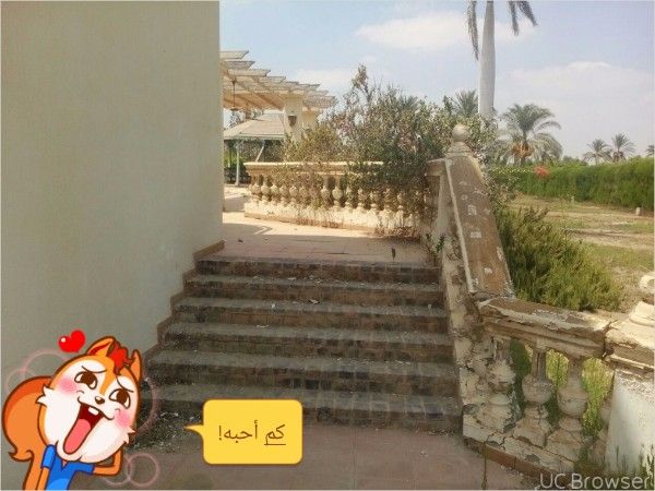84 فدان طريق مصر اسكندرية الصحراوي بجوار مزارع دينا 