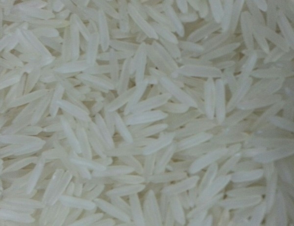 موجود توريد أرز بسمتي سيلا درجة اولى نظام كاش أو أجل
