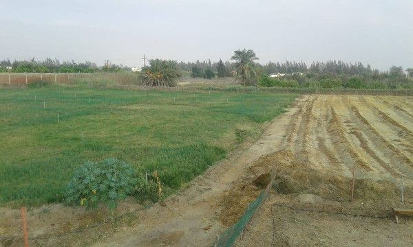 مزرعة للبيع 2 فدان جاهزة طريق مصر اسكندريه الصحراوي