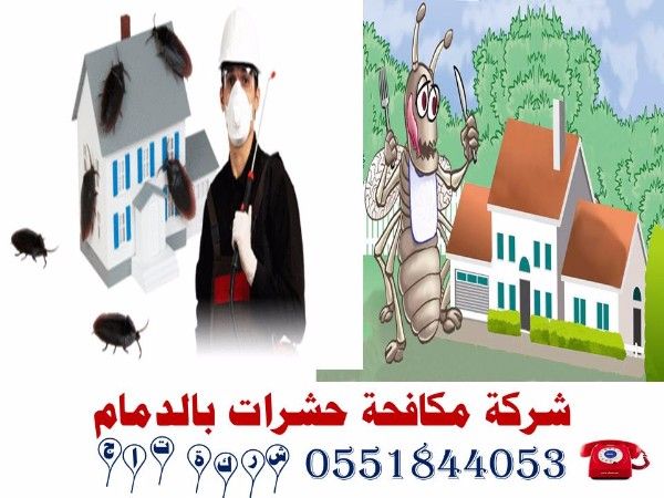 شركة مكافحة حشرات بالدمام والخبر 0551844053