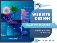 Web Design Professional Designer Company 