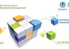 Programes-Management of companies