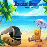 حافلات مرسيدس  للايجار في مختلف الرحلات السياحية